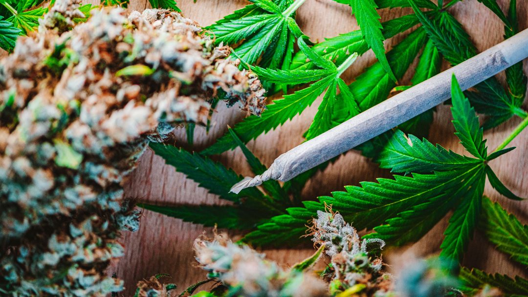 Fumar marihuana con frecuencia aumenta el riesgo de enfermedad cardiovascular