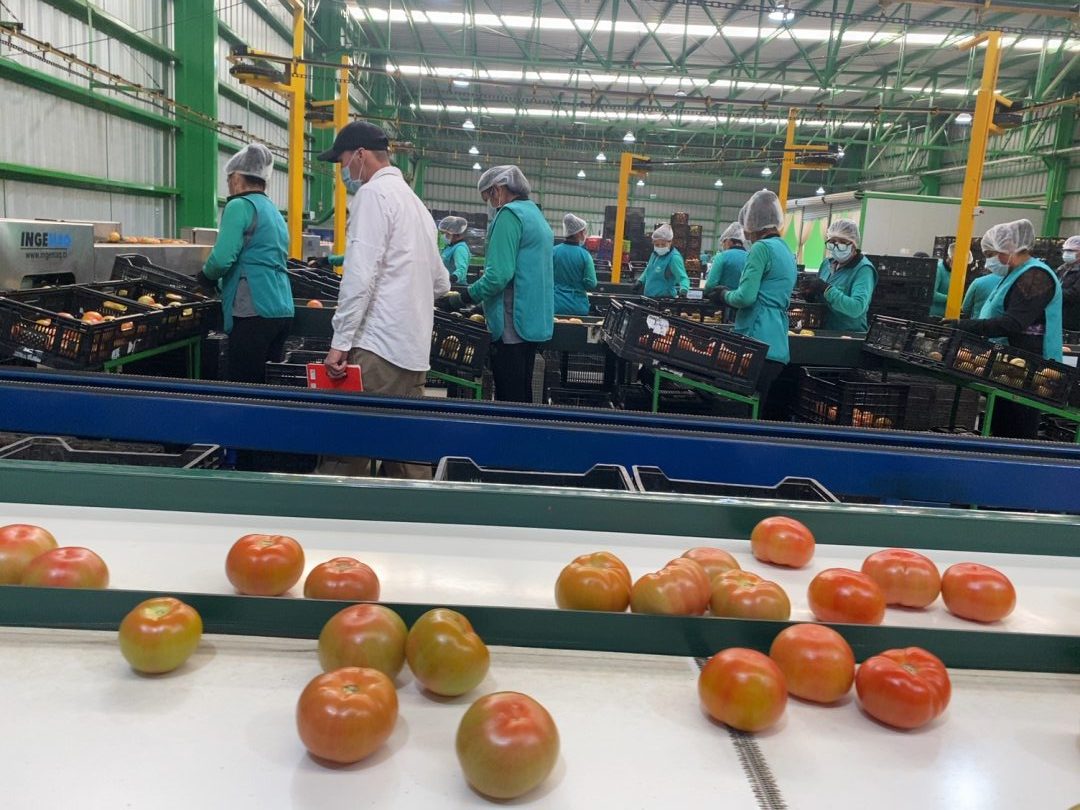 En enero Ingreso Mínimo Mensual subirá a $410.000 y se reajustarán la Asignación Familiar y subsidios Único Familiar y para MiPymes