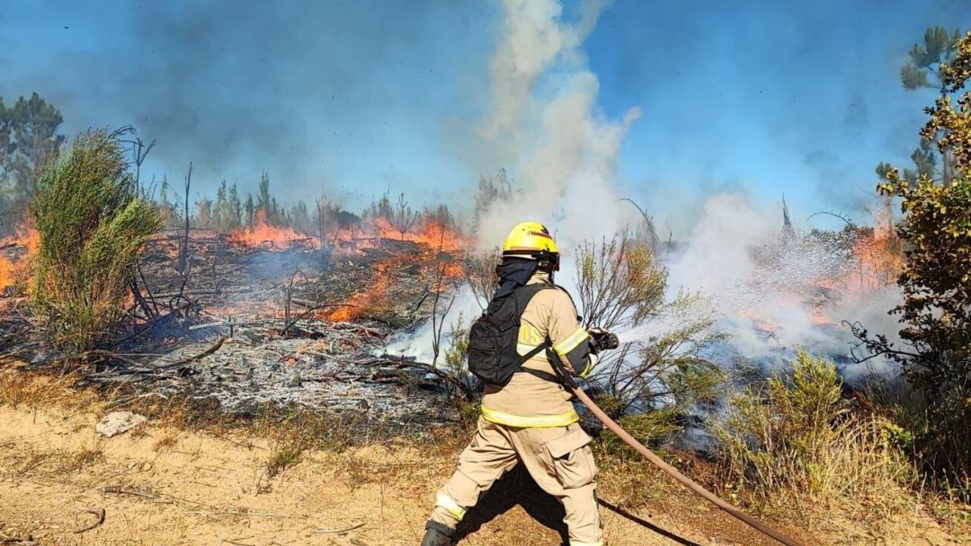 Gobierno confirma 22 muertos y 554 heridos por incendios forestales en Ñuble, Bío Bío y La Araucanía
