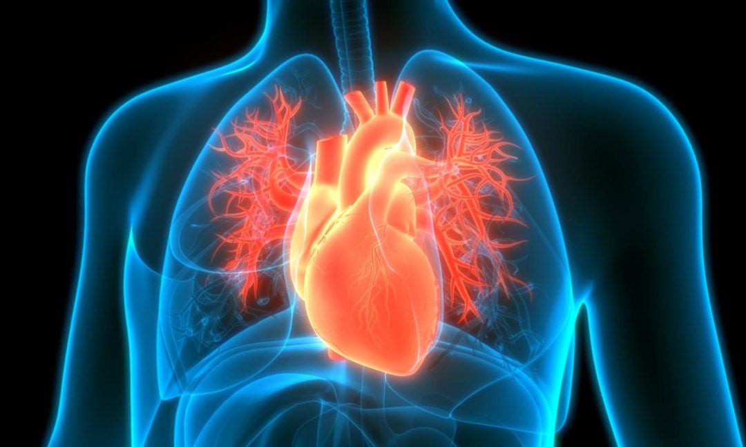 Año Nuevo, corazón nuevo: cinco claves para bajar la presión arterial